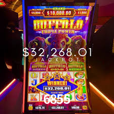 A Experiência Imersiva dos Cassinos Ao Vivo no 6855